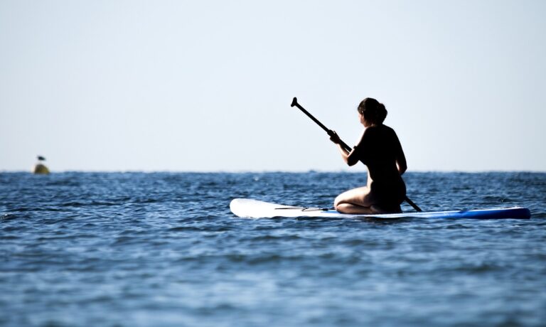 Strategies for Promoting Diversity and Inclusion in Cricket