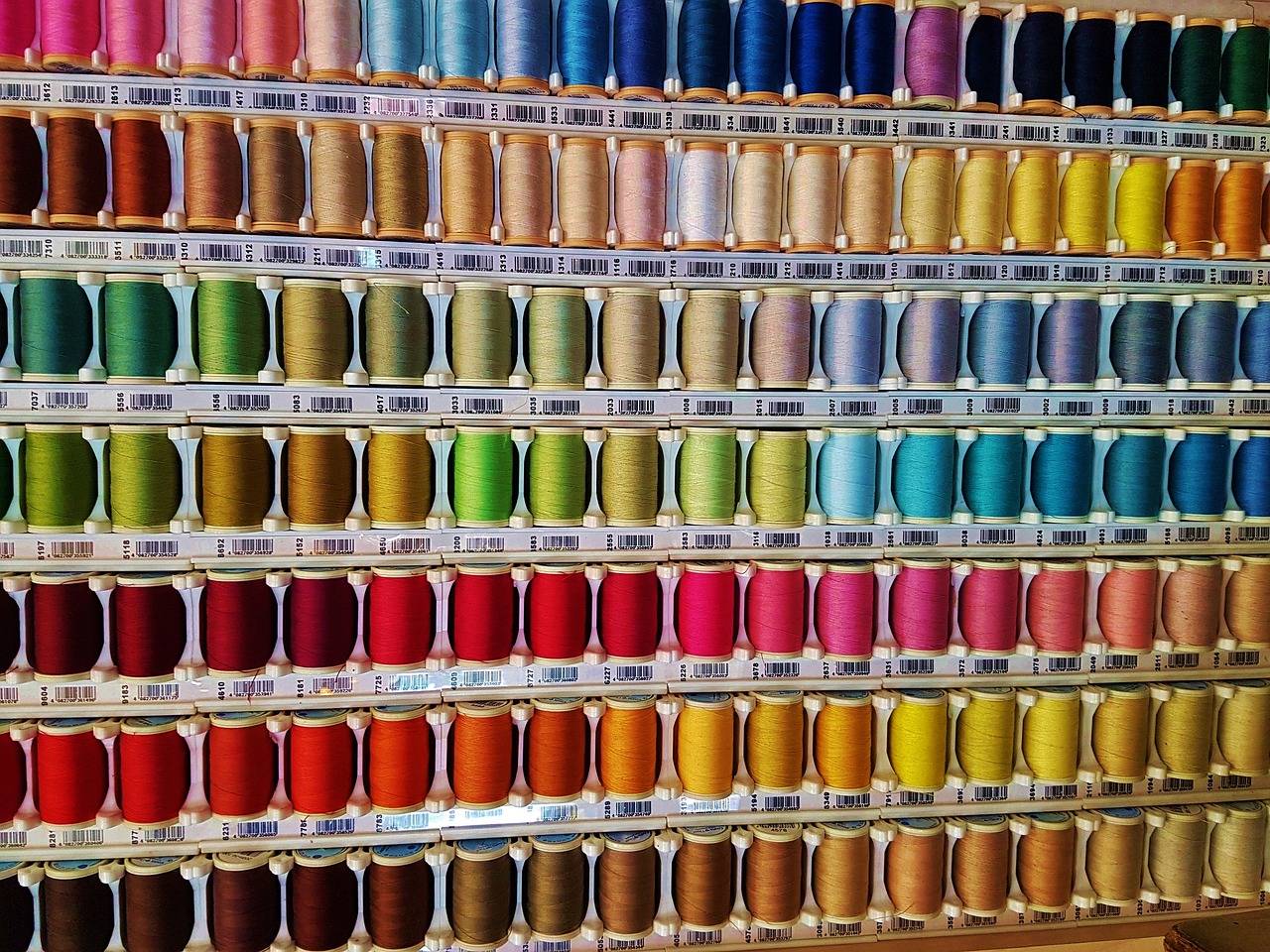 Fashion and Sustainability: Biodegradable Alternatives to Synthetic Fabrics