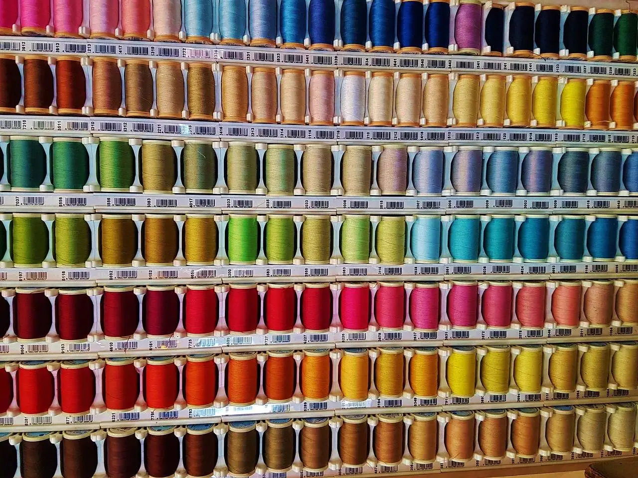 Fashion and Sustainability: Biodegradable Alternatives to Synthetic Fabrics