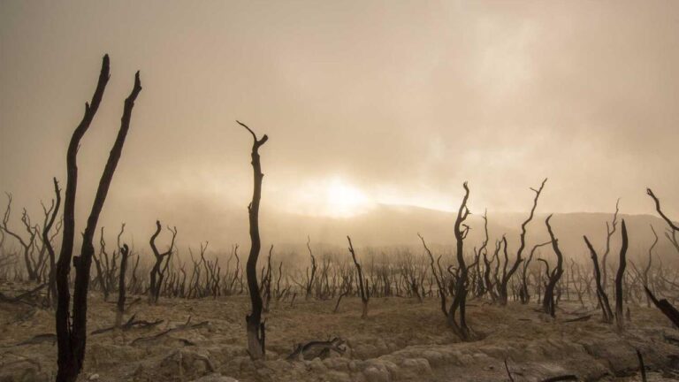 How To Download Cricbet99 Club Win App?