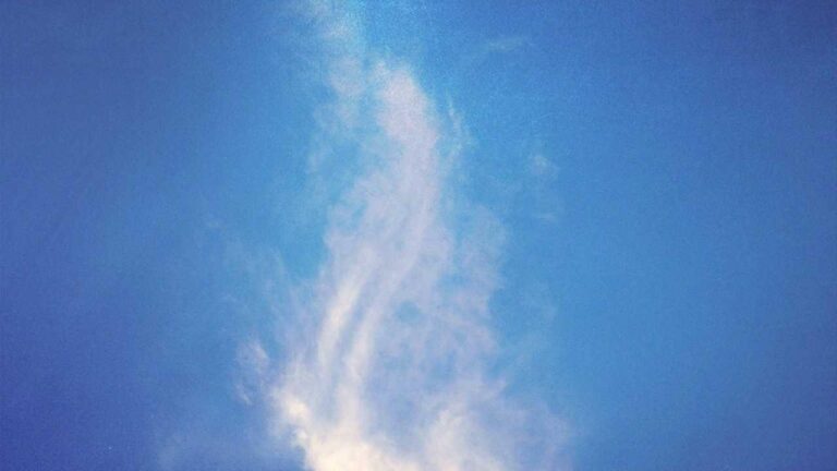 How To Open 99 Exch.In Login Page Easily?